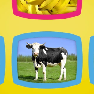 Что едят животные?