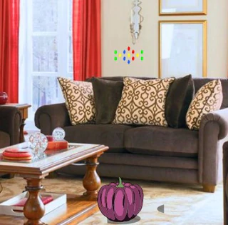 Boy Join To Musical Festival