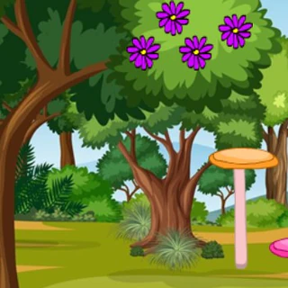 Покормите кролика