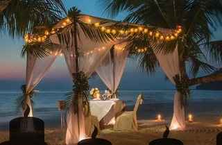 Земли новогодних подарков