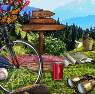 Чудесное приключение