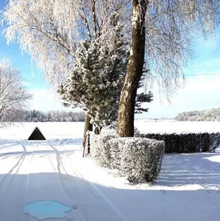 Рождественский подарок любимой