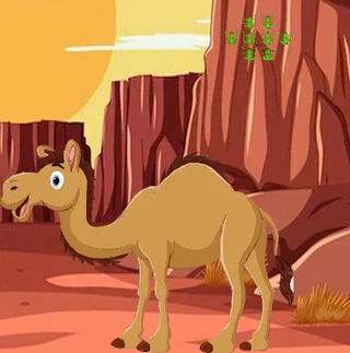 Помогите жаждущим животным