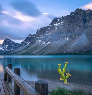 Помогите несчастной крысе