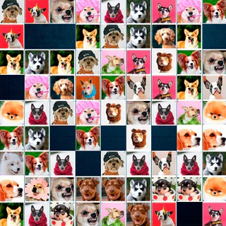 Маджонг собаки