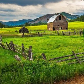 Накормите голодную панду