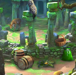 Чудеса лесной страны