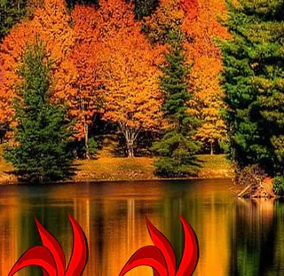 Помогите маме-лошади