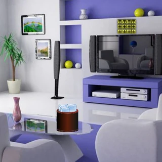 Girl Seek Costly Ipad