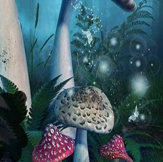 Помогите пойманному Купидону