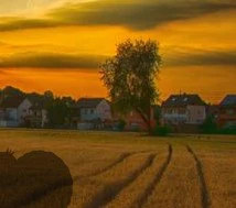 Побег с золотой индейкой