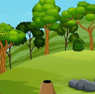 Вылечите раненого павлина