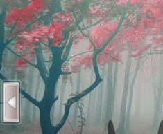 Осенний лес пришельцев