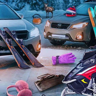 Ледяное путешествие