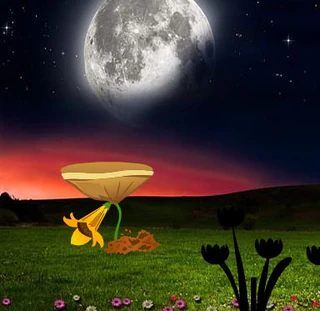 Siblings Escape From Dark Forest