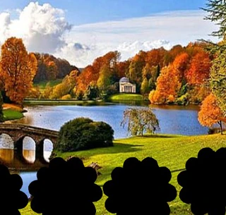 Фермер ищет корову