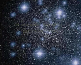 Доверяйте любимым