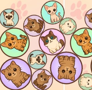 Кошачий арбуз