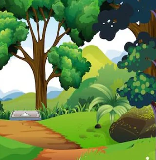 Панда ищет супругу