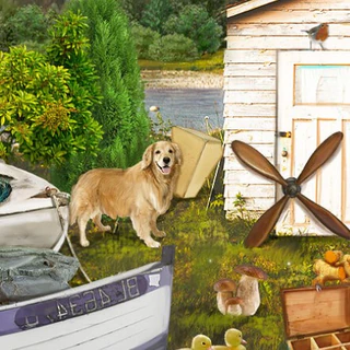 На берегу озера