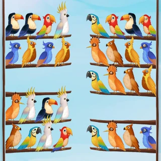 Головоломка с птицами