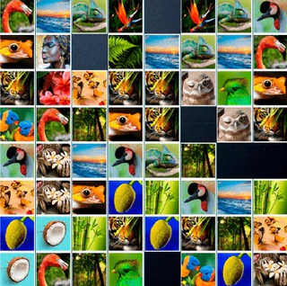 Маджонг джунгли