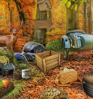 Осеннее приключение