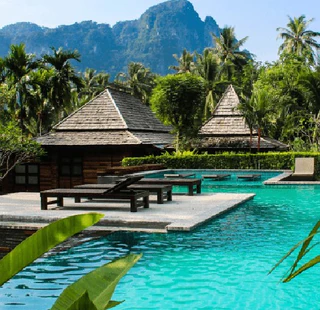 Найдите 100 бабочек