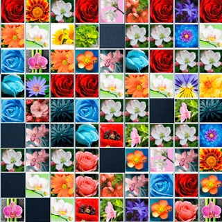 Маджонг цветы