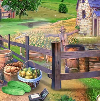 Деревня койотов