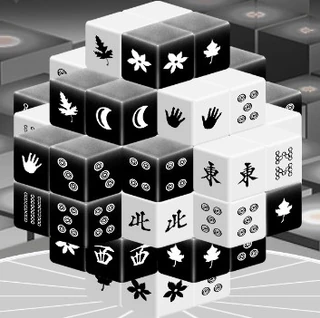 Маджонг: Чёрно-белые измерения