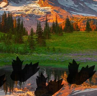 Ковбой ищет горшочек удачи