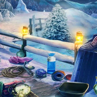 Зимняя путешественница